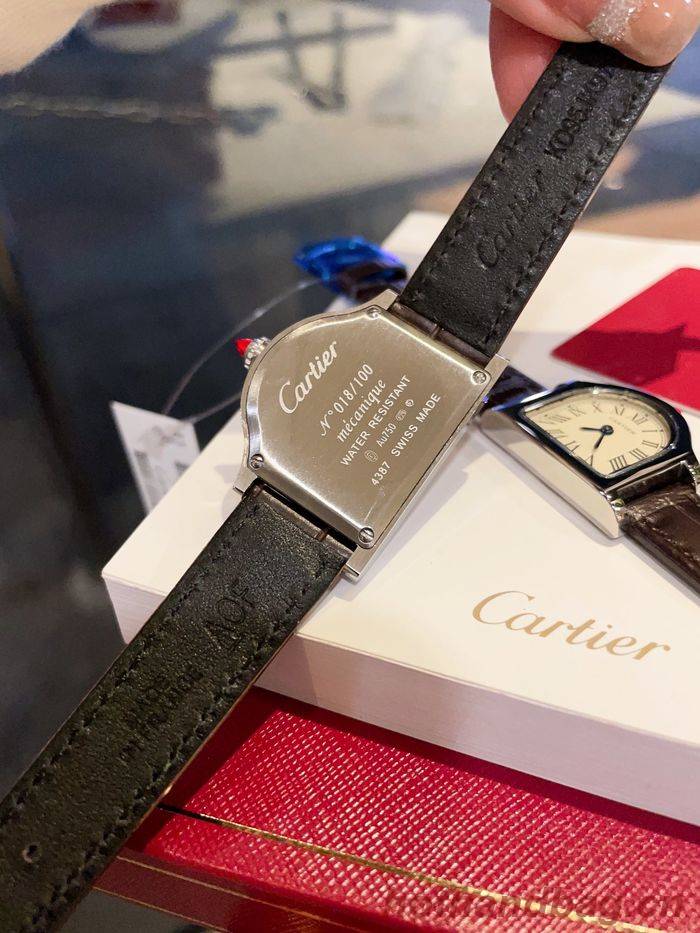 Cartier Watch CTW00212 Cartier Watch CTW00212