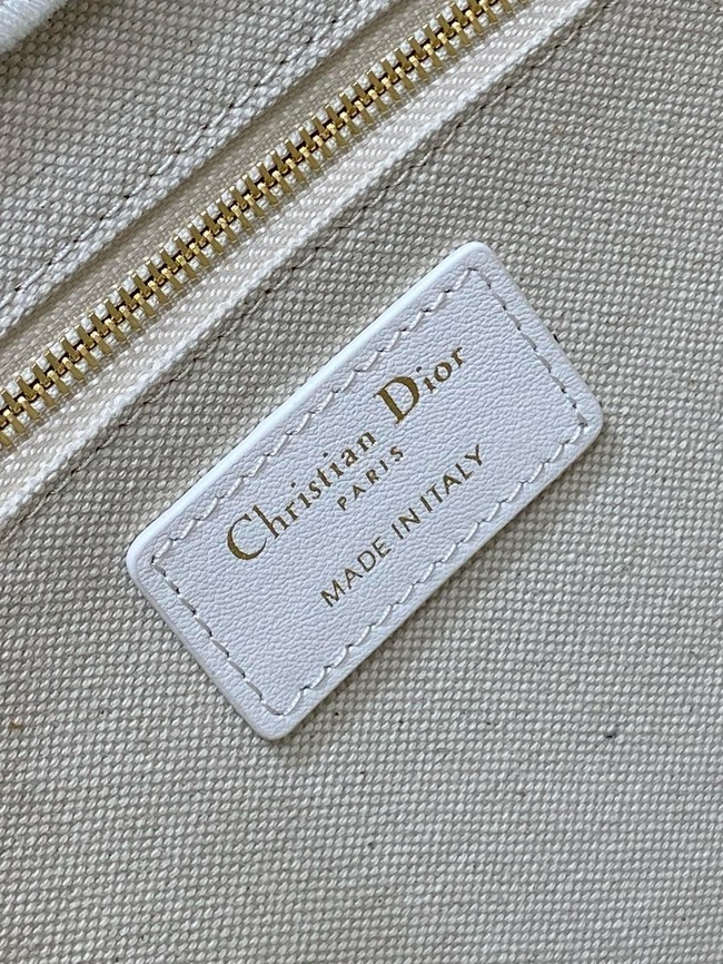 Small Dior Book Tote Dior Oblique Embroidery and Calfskin M1325CZ-2